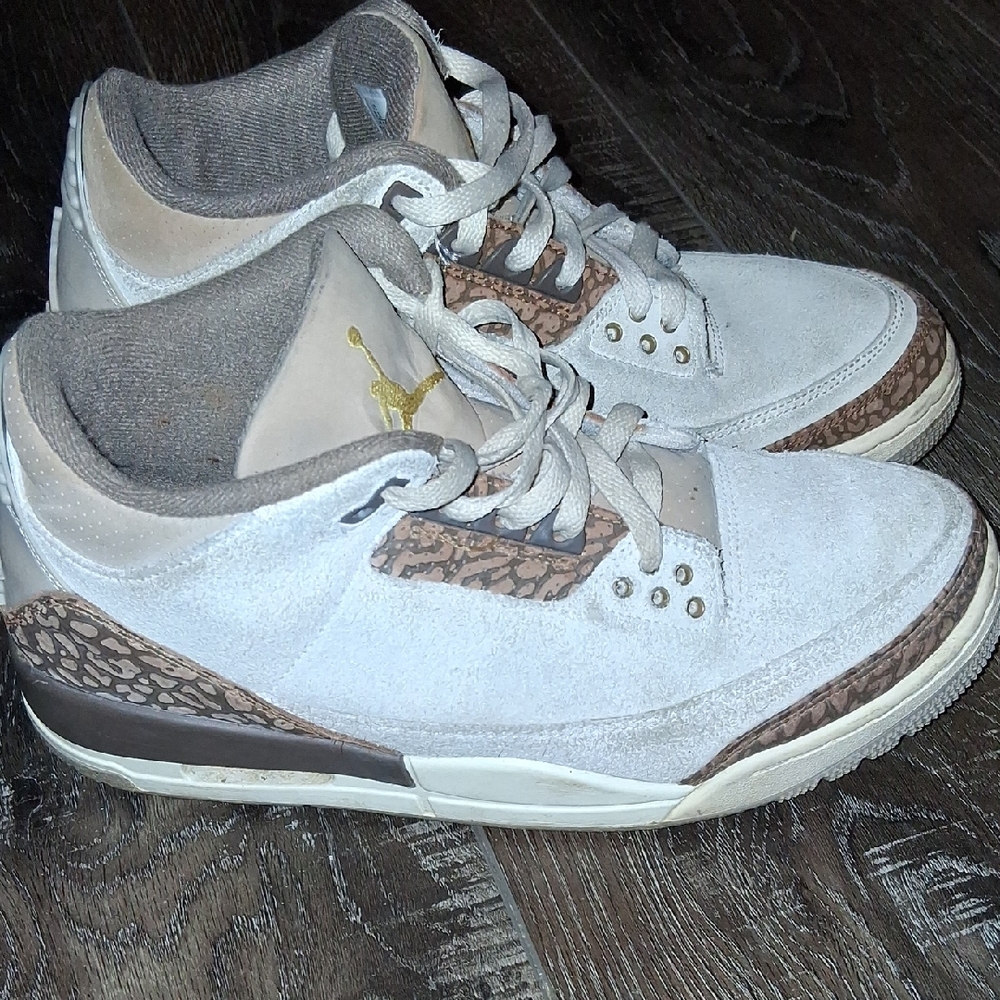 Jordan 3s
